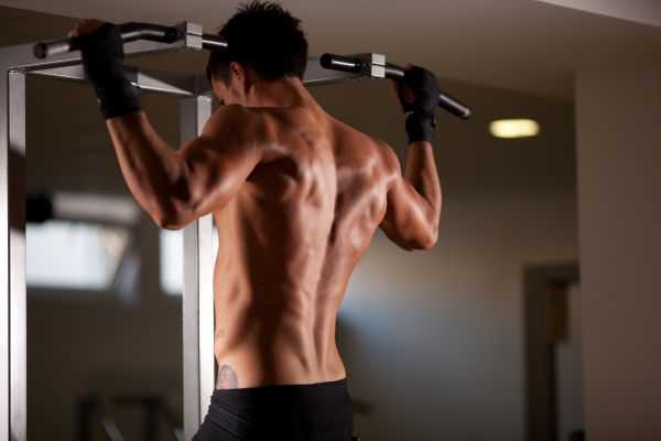 Read more about the article Best Exercises For a Massive Back